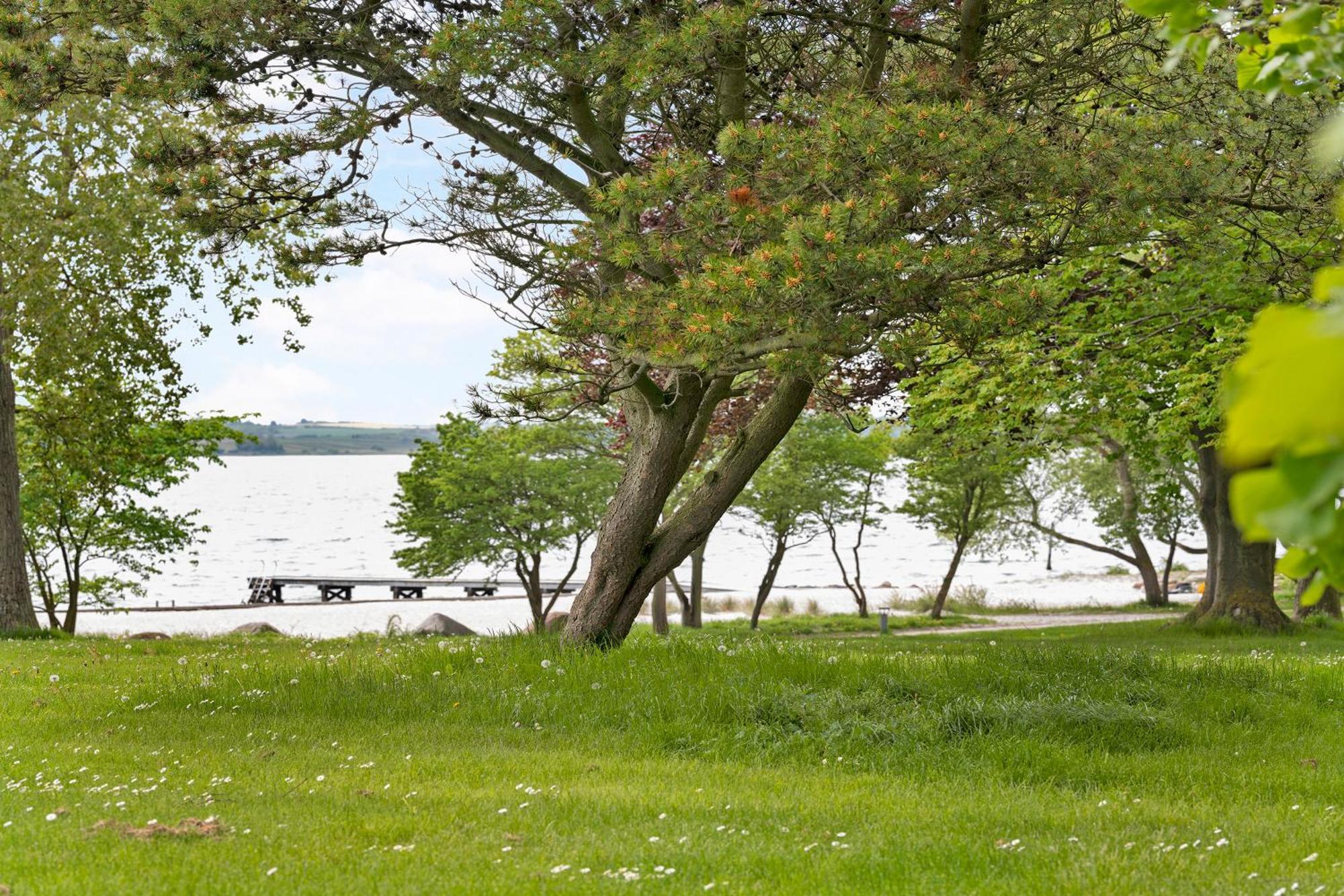 By The Sea - Linen And Towels Included Apartment Fåborg Exterior foto